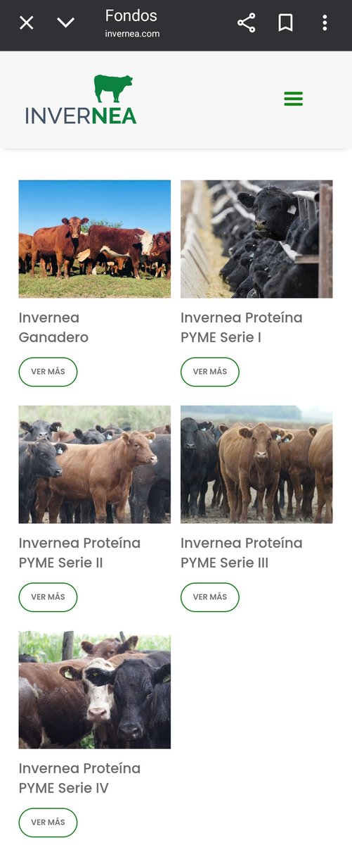 Traductor 🥹💕💐 tweet media