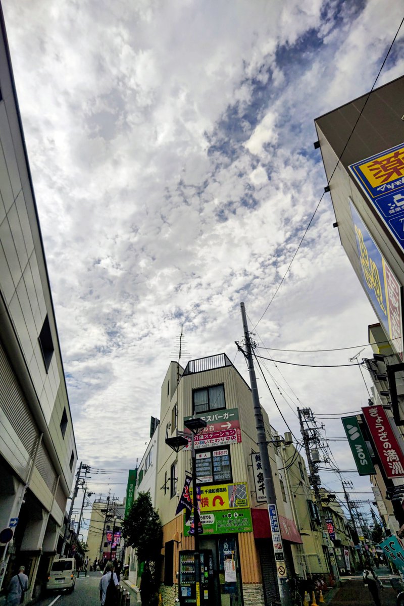 本日は曇り空☁
暑さもだいぶ取れてきましたね
#企業公式秋のフォロー祭
#企業公式相互フォロー
#企業公式が毎朝地元の天気を言い合う
#東京 #世田谷 #千歳船橋駅
#イマソラ #空ネット