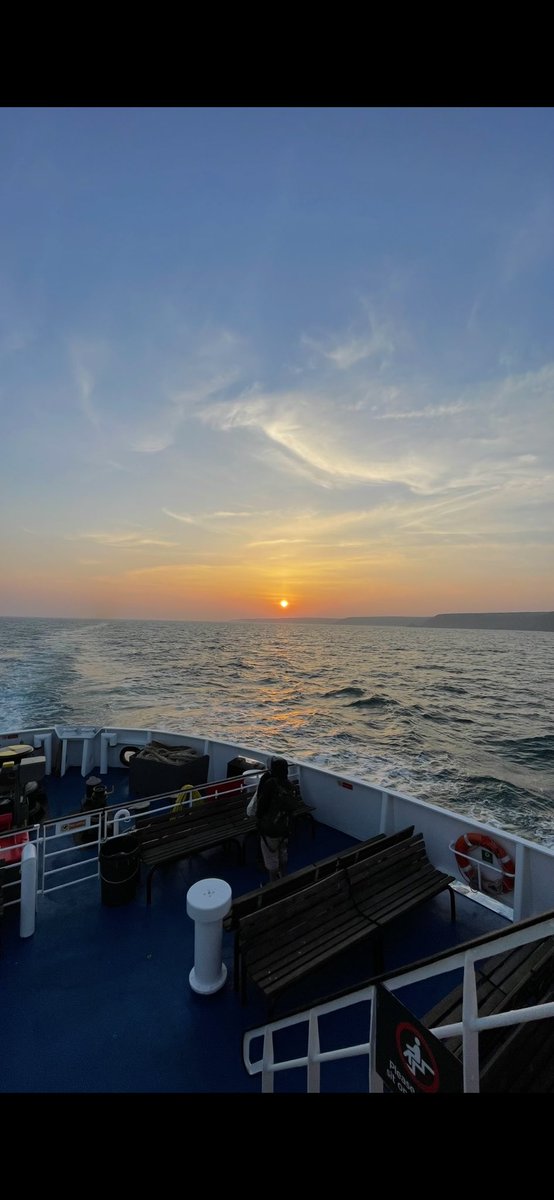 Pete nelson tweet media