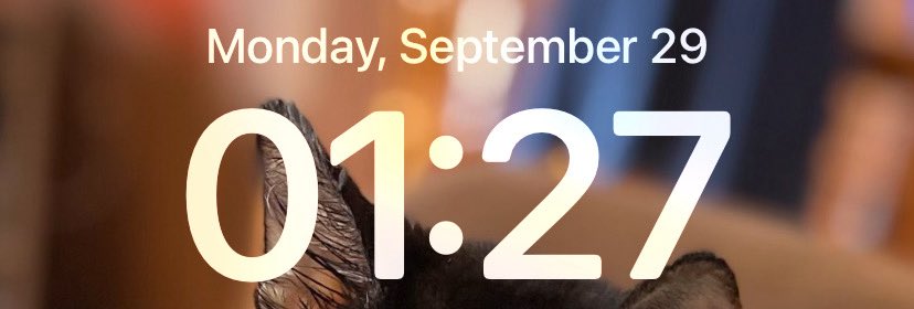 honeybee ☽̶☾ ⁵ ¹³ ⁹ 🍉 tweet media