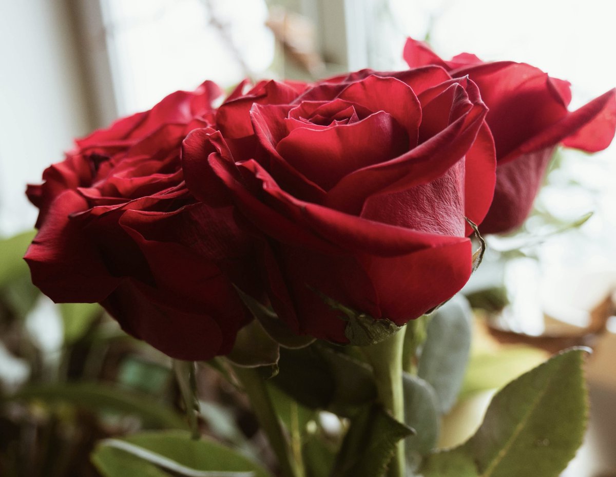 قهوتي هذا الصباح …