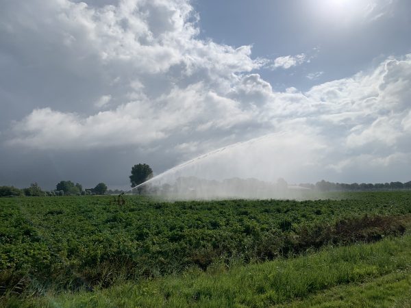 Lezing Tobben of Toppen? Een zonnige visie op de landbouw ift.tt/jpX5rYz