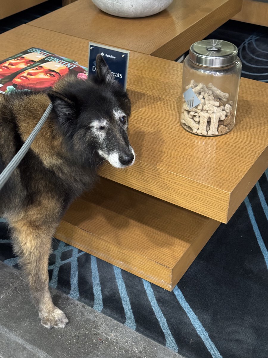 야....야...알지 >ㅅㅇ;;?