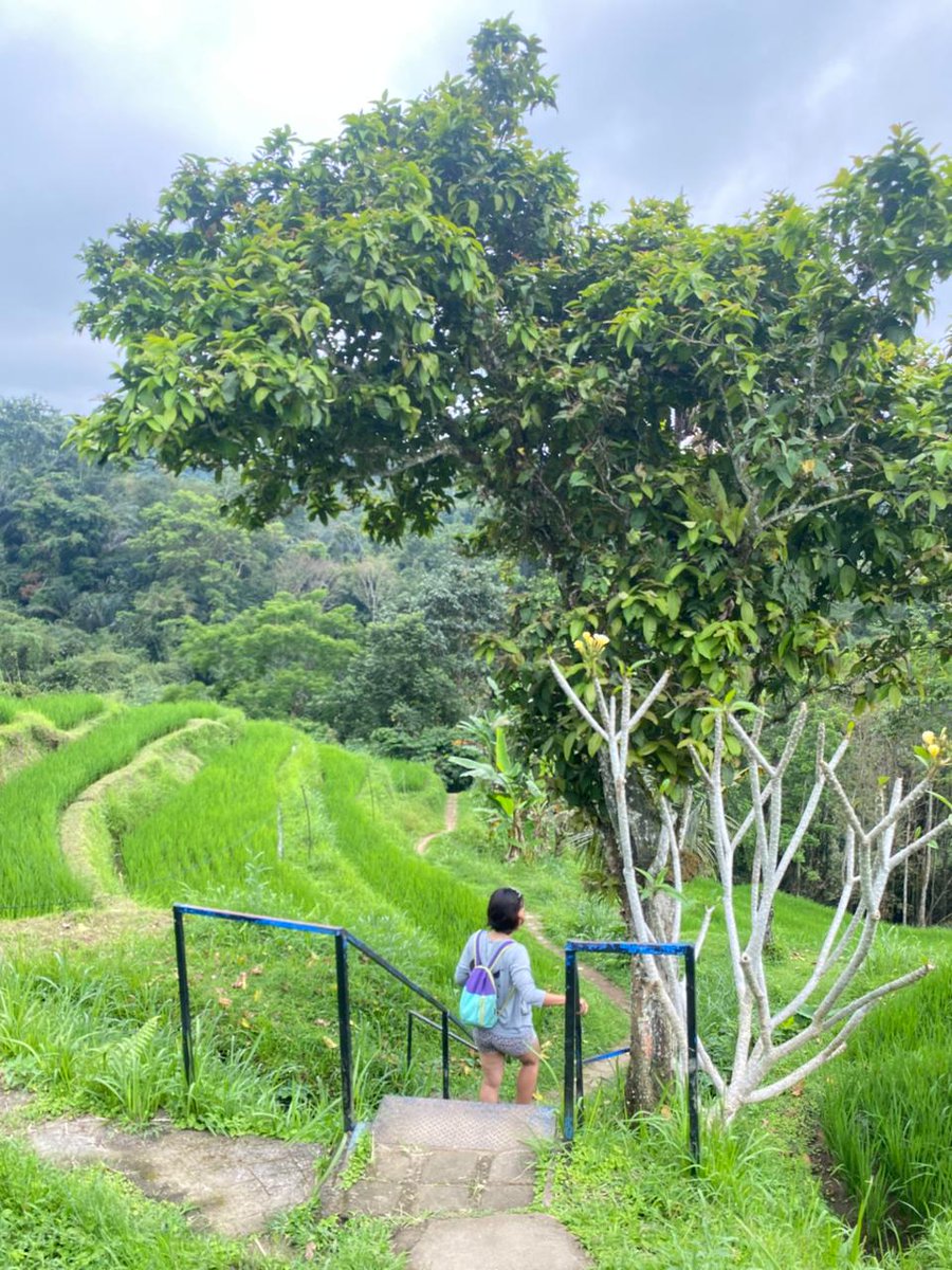 Bukan owner yg punya toko dan hotel tapi cuma anak kost di Bali yg suka ngayap kalo lagi libur biar punya banyak foto pemandangan buat dipost 😎

Loc.Jatiluwih