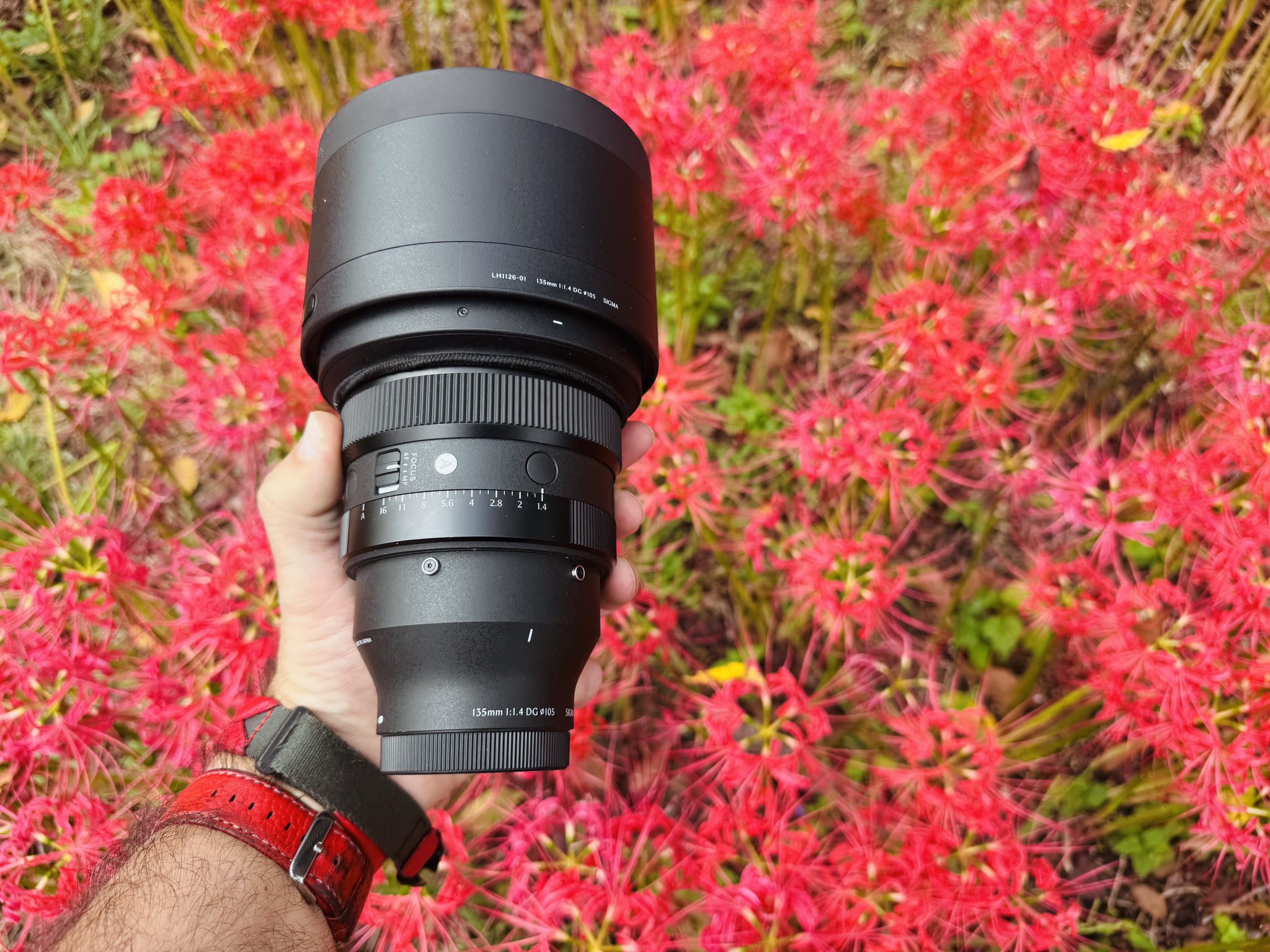 Godox dealer (@GodoxDealer) / X