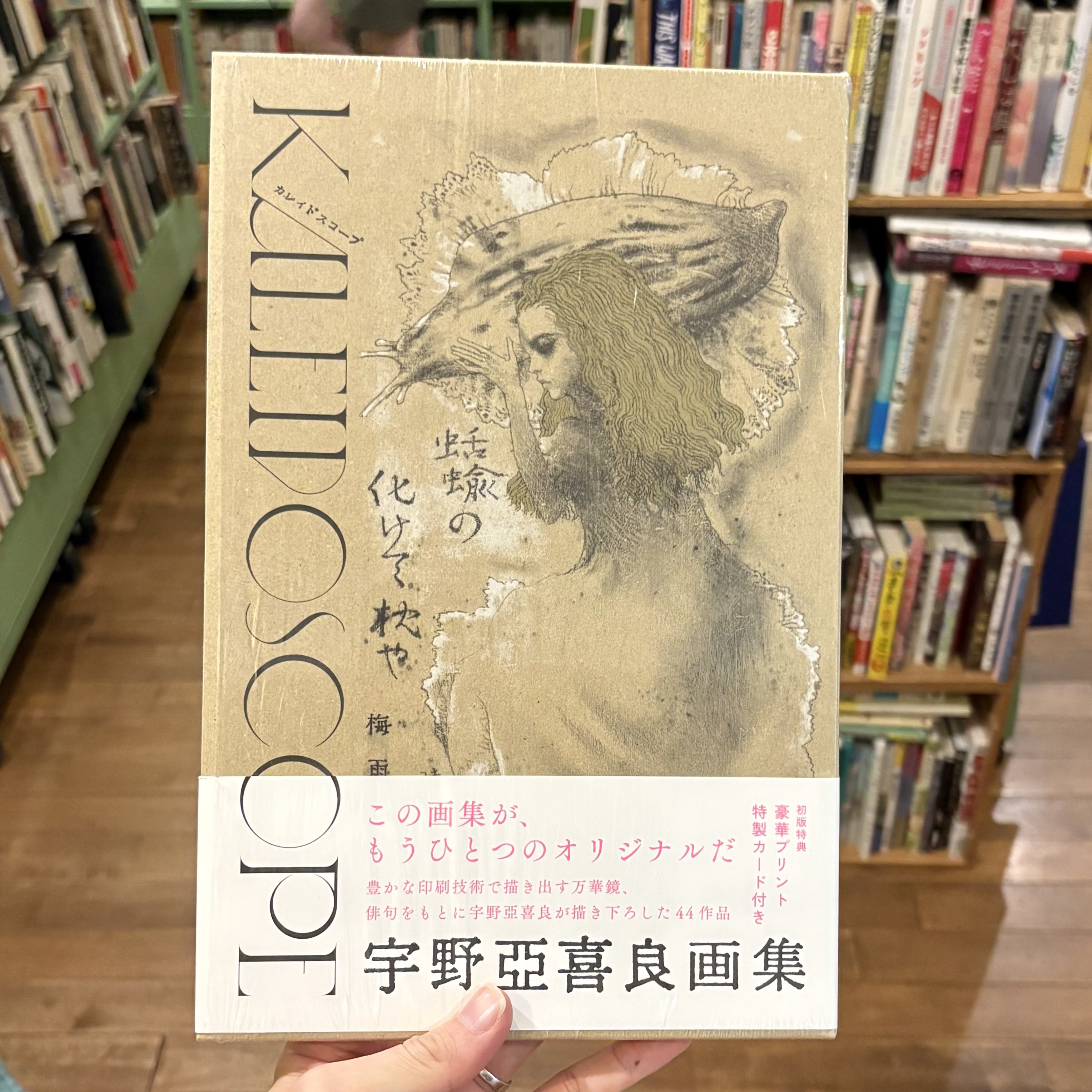 古本屋 百年 on X: 