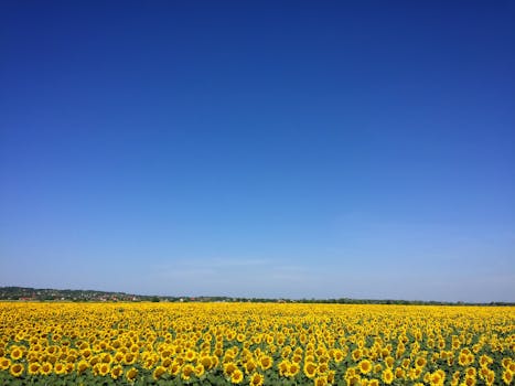 ヨーロッパ旅行行きたい