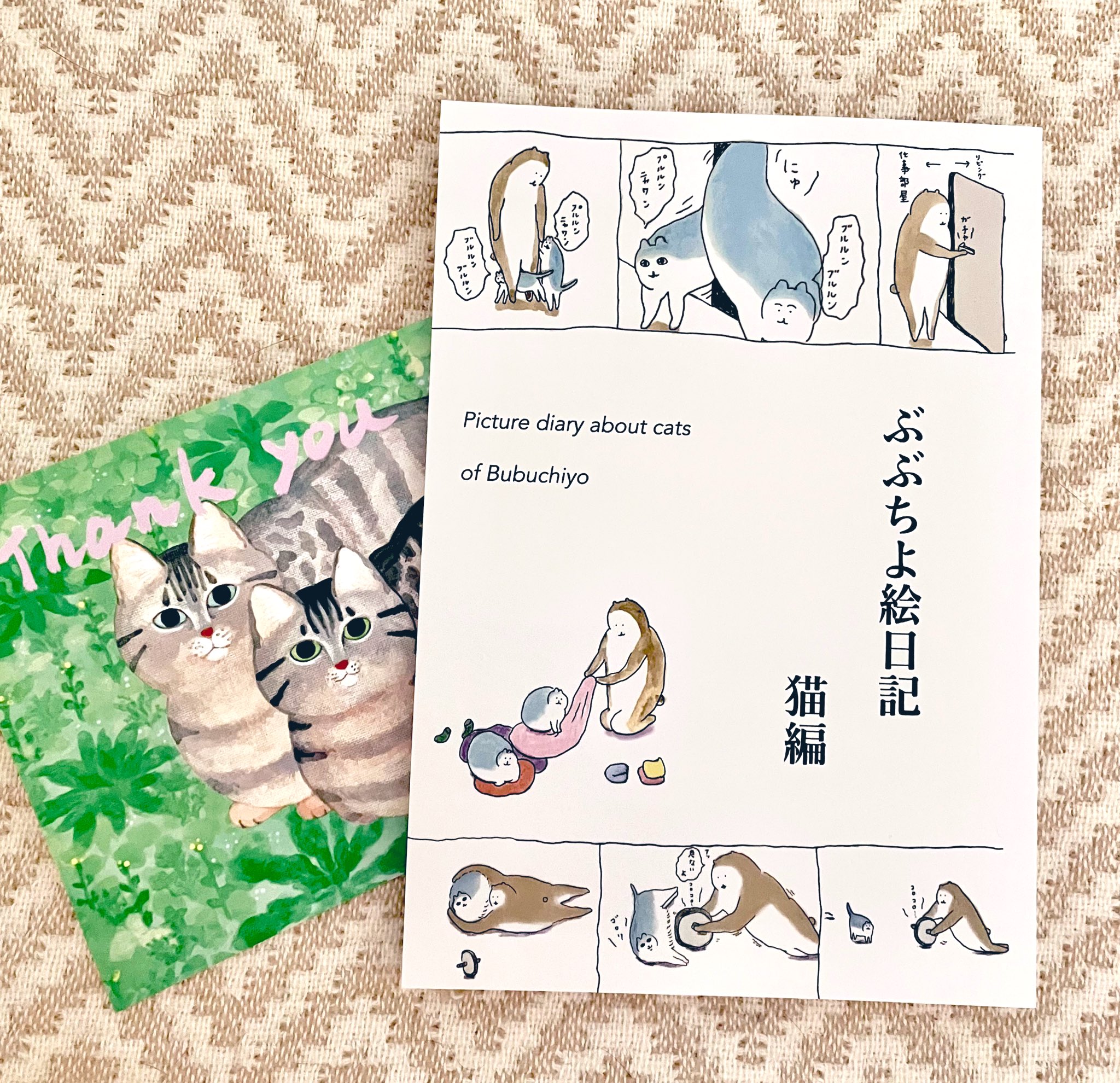 ちび猫※プロフ全文必読※2508W2 ちび猫※プロフ全文必読※2508W2 ちび猫 黒猫1｜大丸松坂屋