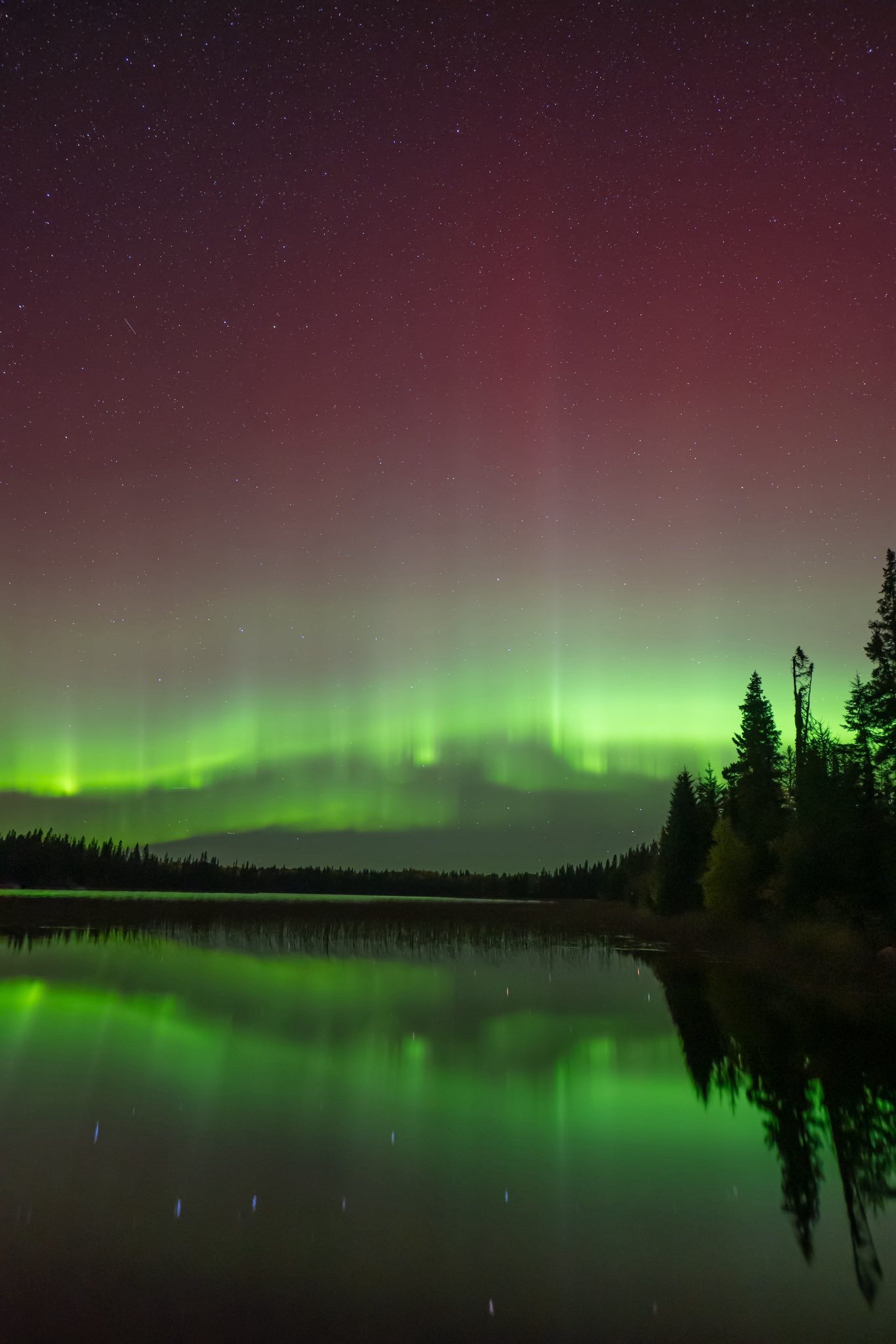 星空車掌 NIGHT-PAGER TOKYO UNDERGROUND MANUFACTURE (@nightpager) / X