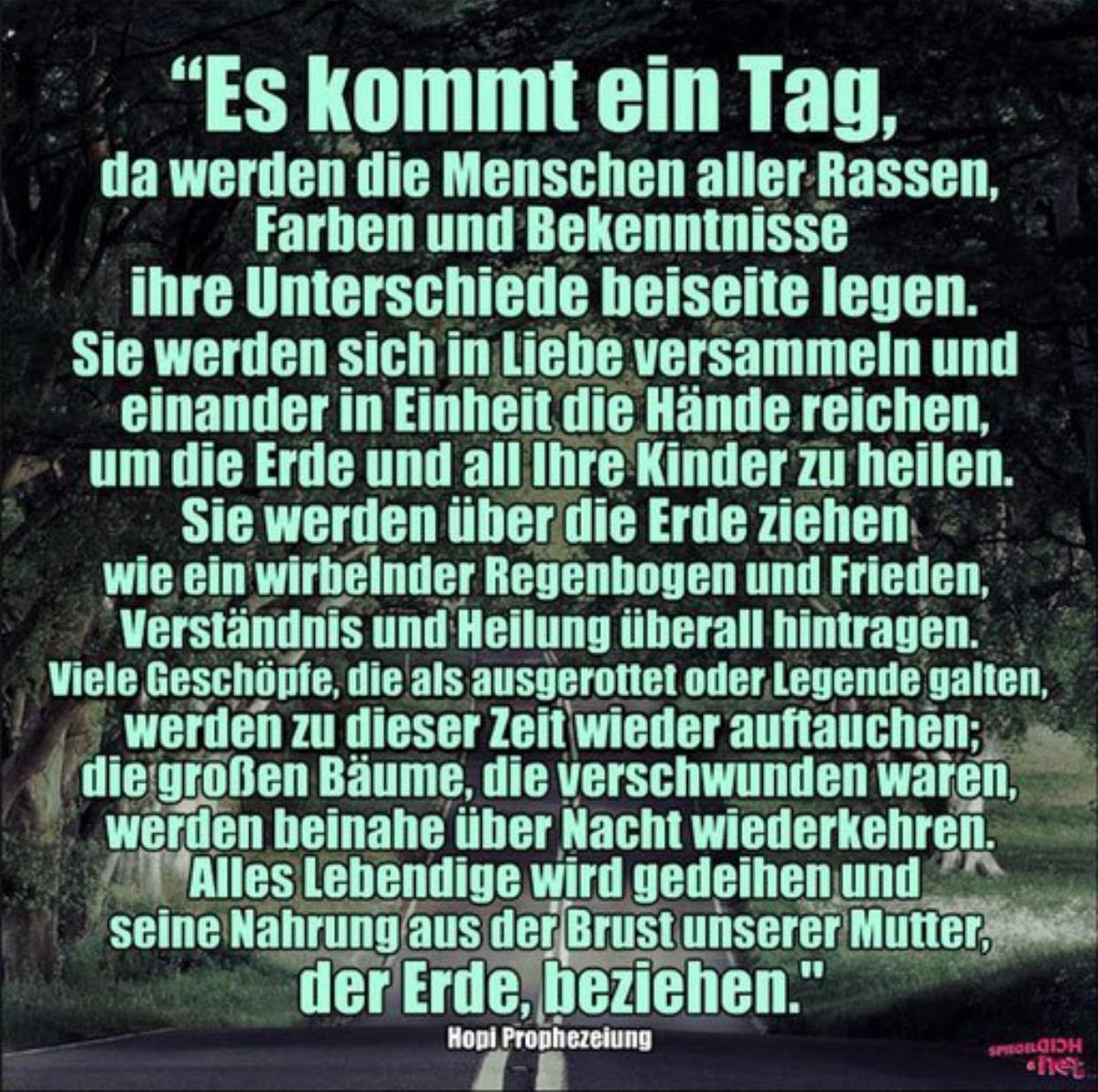 Ruffko (@heikoruffko) on Twitter photo 