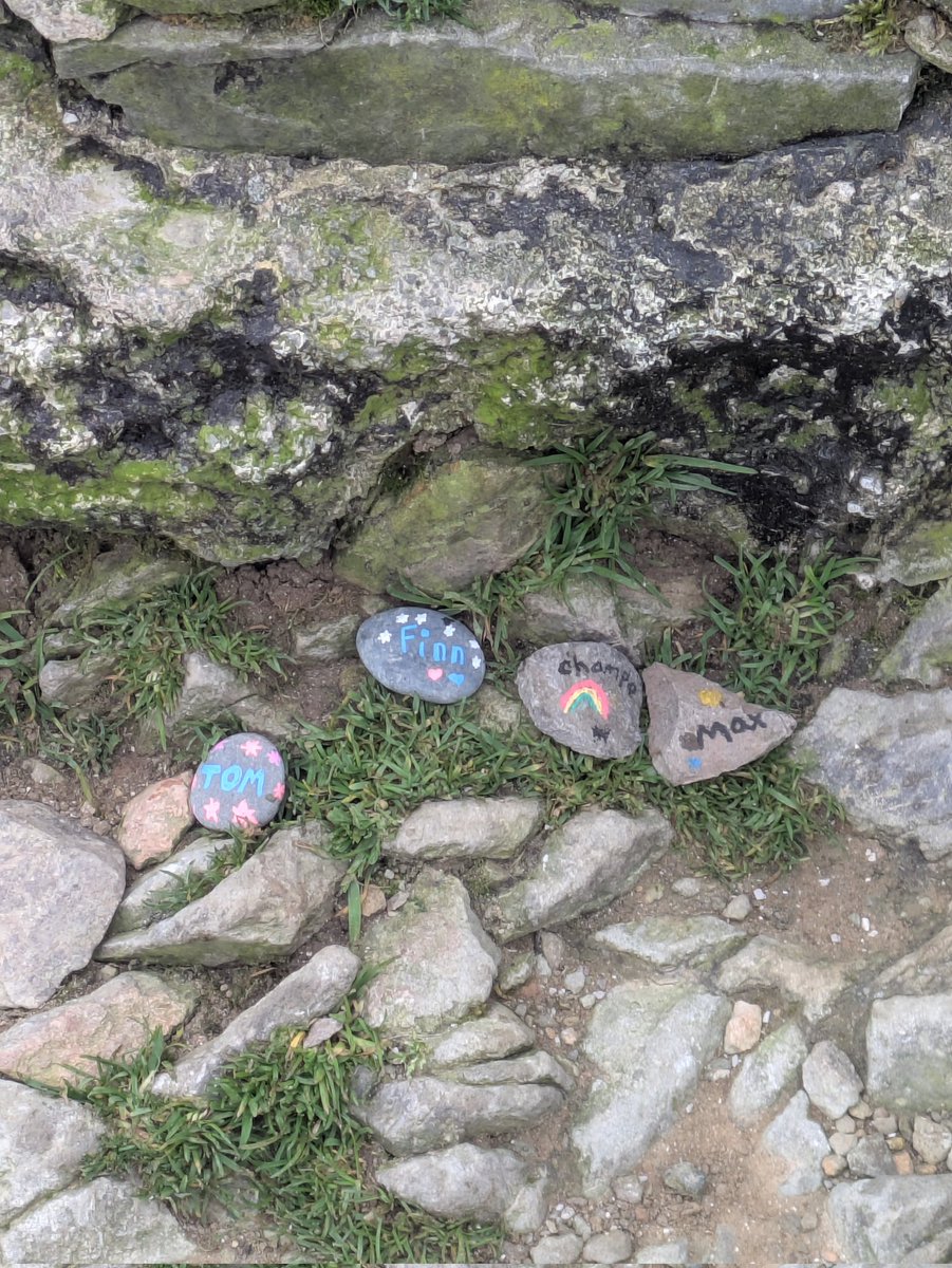 David B Roberts tweet media