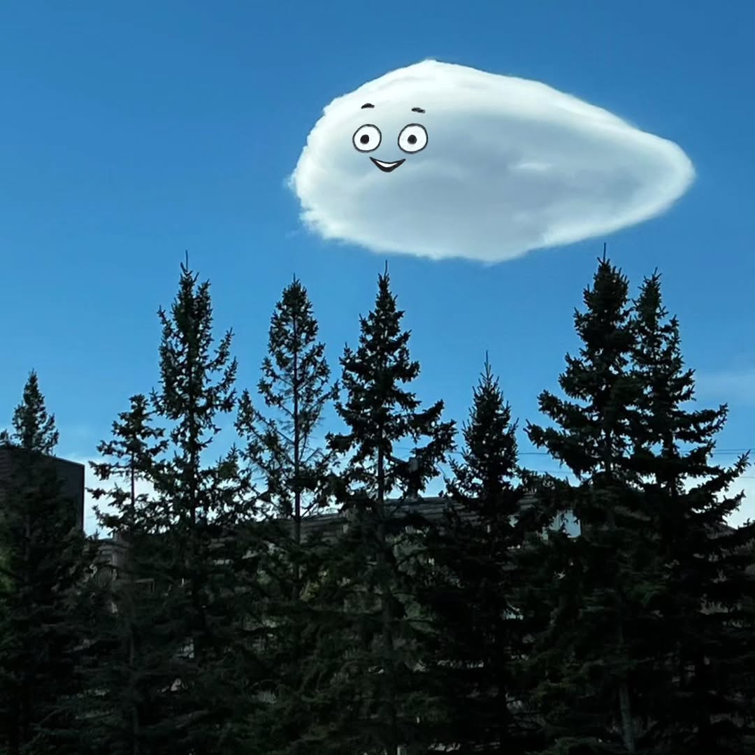 cloudifyart's tweet image. GM chat
feeling good about today, may it turn out to be a great one