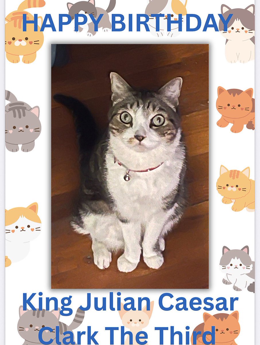 Happy Birthday, King Julian Cesar Clark The Third!!! 🎂🎁🎊🎈🎉 

#KingJulianCesarClarkTheThird
#catbirthday
#TyroneEvansClark
#HappyBirthday
#Family
#love
#Superstars
#Celebrities
#Powerful
#abundance
#Hope
#UnbreakableBOND
#Famous 
🐈‍⬛ 🐈 🐱 😹😻😸😺