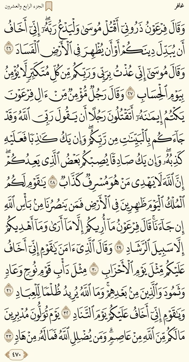 Shereef_Wagih79's tweet image. صباح الخير.......ورد الاثنين