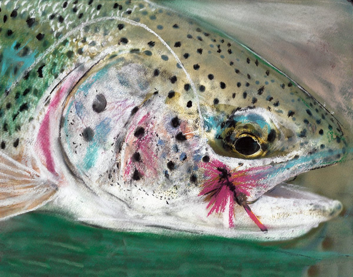 Rainbow Trout on the Fly – Pastel Fishing Art Print by Jack Tarpon dogfishart.com/products/rainb… #painting #OscarJetson #JackTarpon