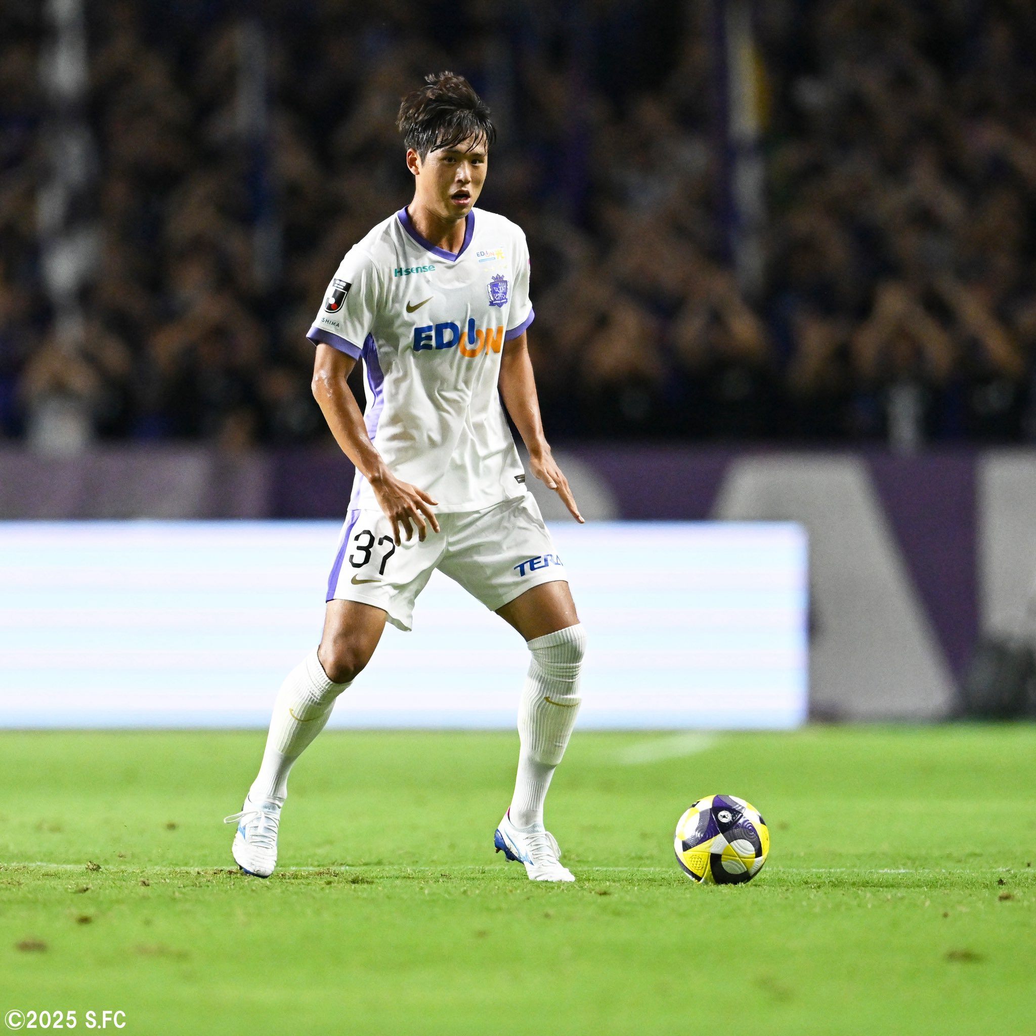 直筆サイン入り写真 金珍洙 キムジンス TSG1899ホッフェンハイムSA鑑定済 直筆サイン入り写真 金珍洙 キムジンス TSG1899ホッフェンハイム