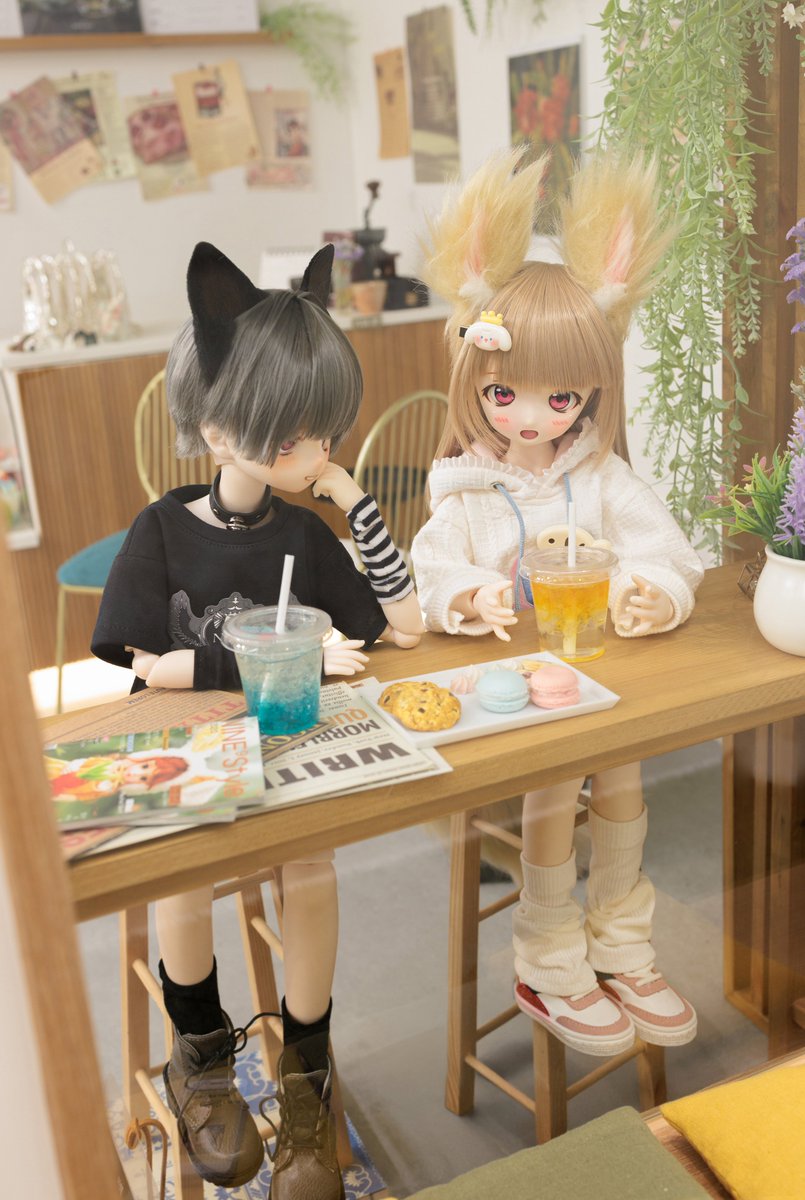 ごんたページ ごんた (@gonta0417) / Posts / X