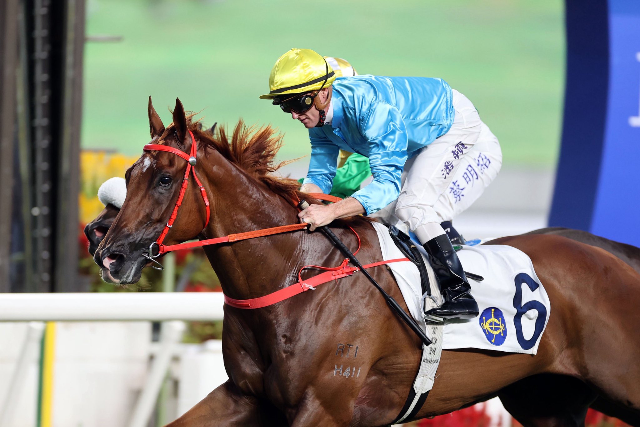 朝鮮の盃② 朝鮮の盃② List of Love 2 Quad | Buy from TCG Republic