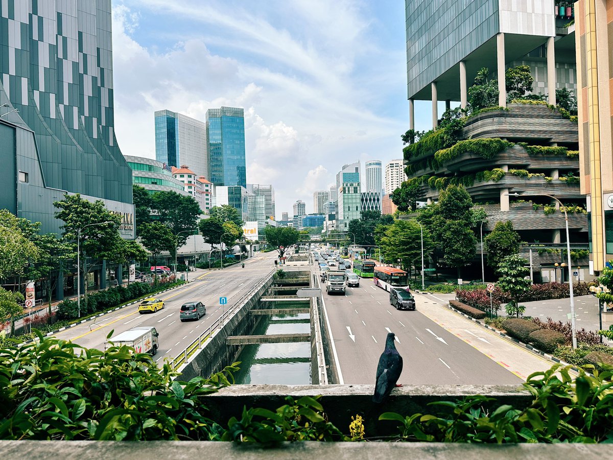 Just arrived in Singapore to meet potential investors from around the world on the sidelines of <a href="/token2049/">TOKEN2049</a> conference.

Seeking partners to support the scaling of <a href="/combinderio/">Combinder</a> with focus on energy tech and/or web3 and that can help with access to smart appliance manufacturers,