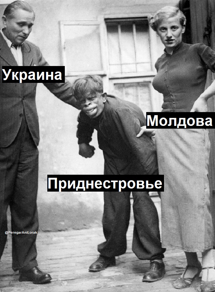 Перегар АниЛоракович (@peregaranilorak) on Twitter photo 