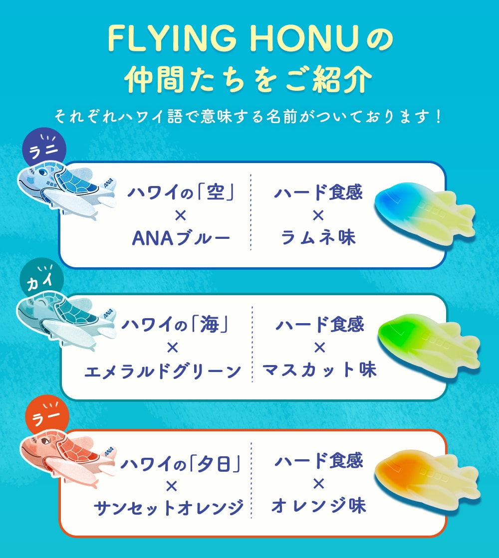 ˏˋ✈━━━━ 青組FLYING HONU(フライングホヌ)🪸🐢 10/28〜全国の