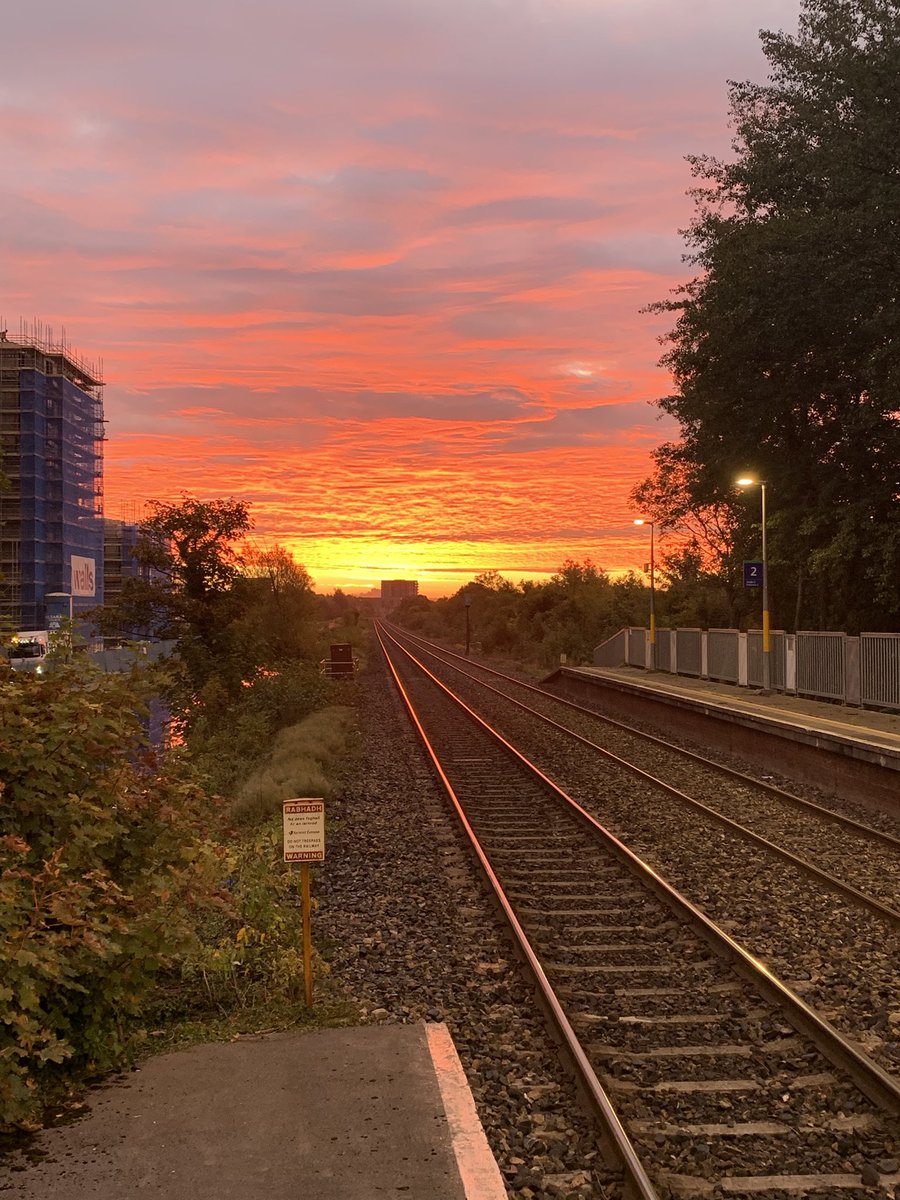 Ronan Doohan tweet media