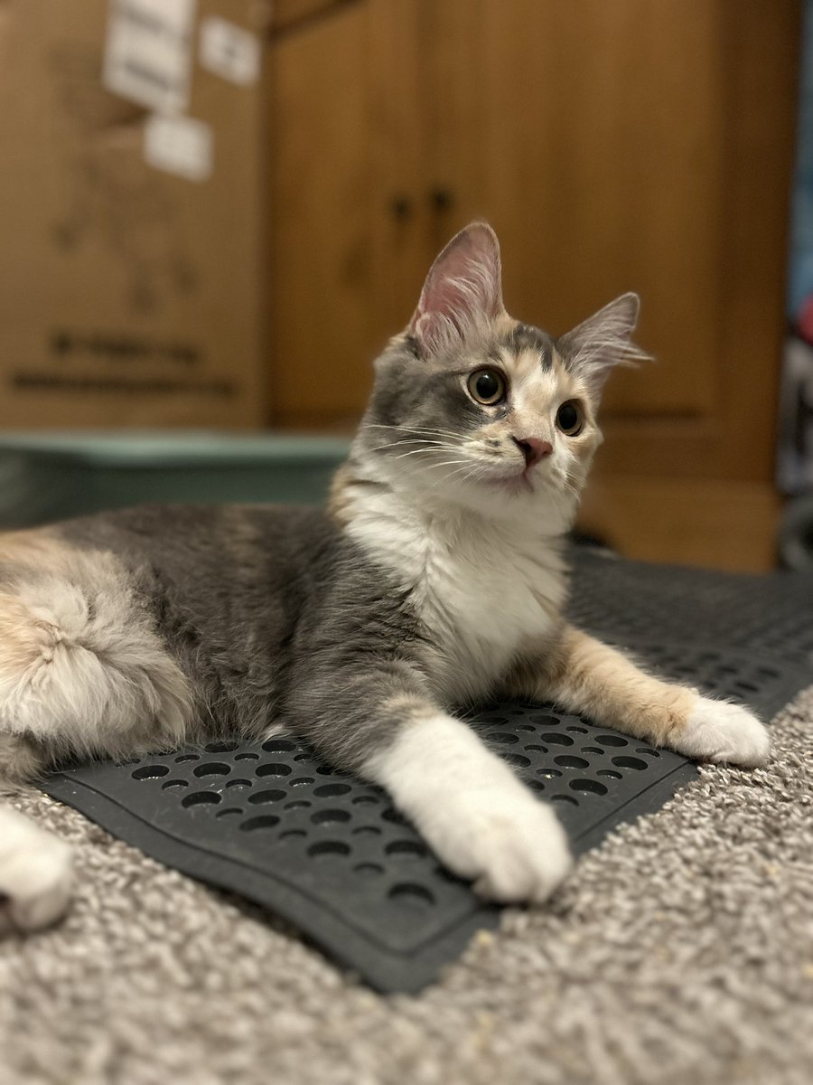 who let them get so big? 😭