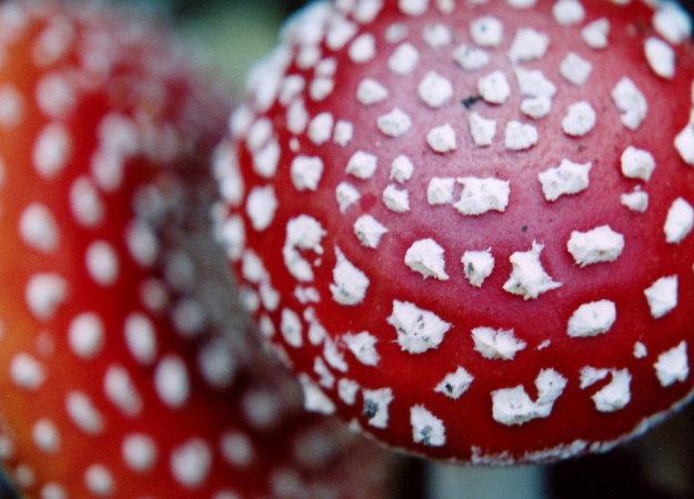 Viv Writes Mystery & Romance tweet media