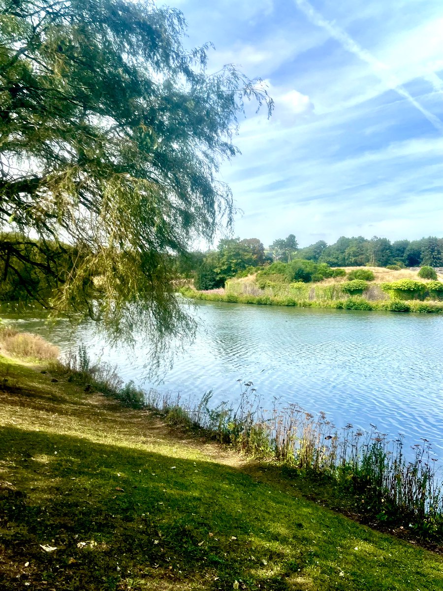As we begin a new week….
Lets do our utmost to make it a good one! 👊

#NatureBeauty #NaturePhotography 🩵