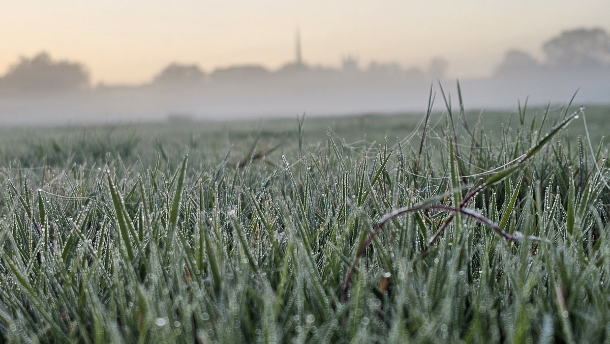 AP Capture with Freedom tweet media