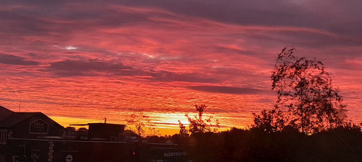 Carl Mark O'Neill🪃 tweet media