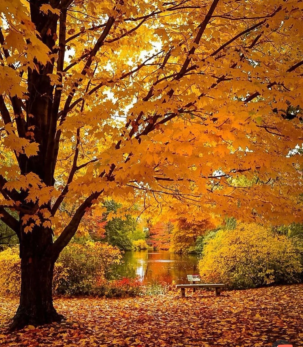 Mirko Vasić tweet media