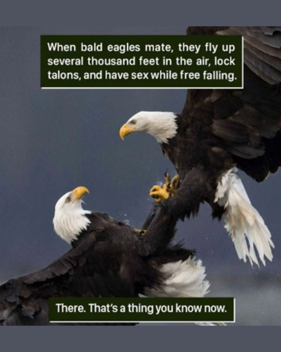 dose's tweet image. #facts
Did you know?