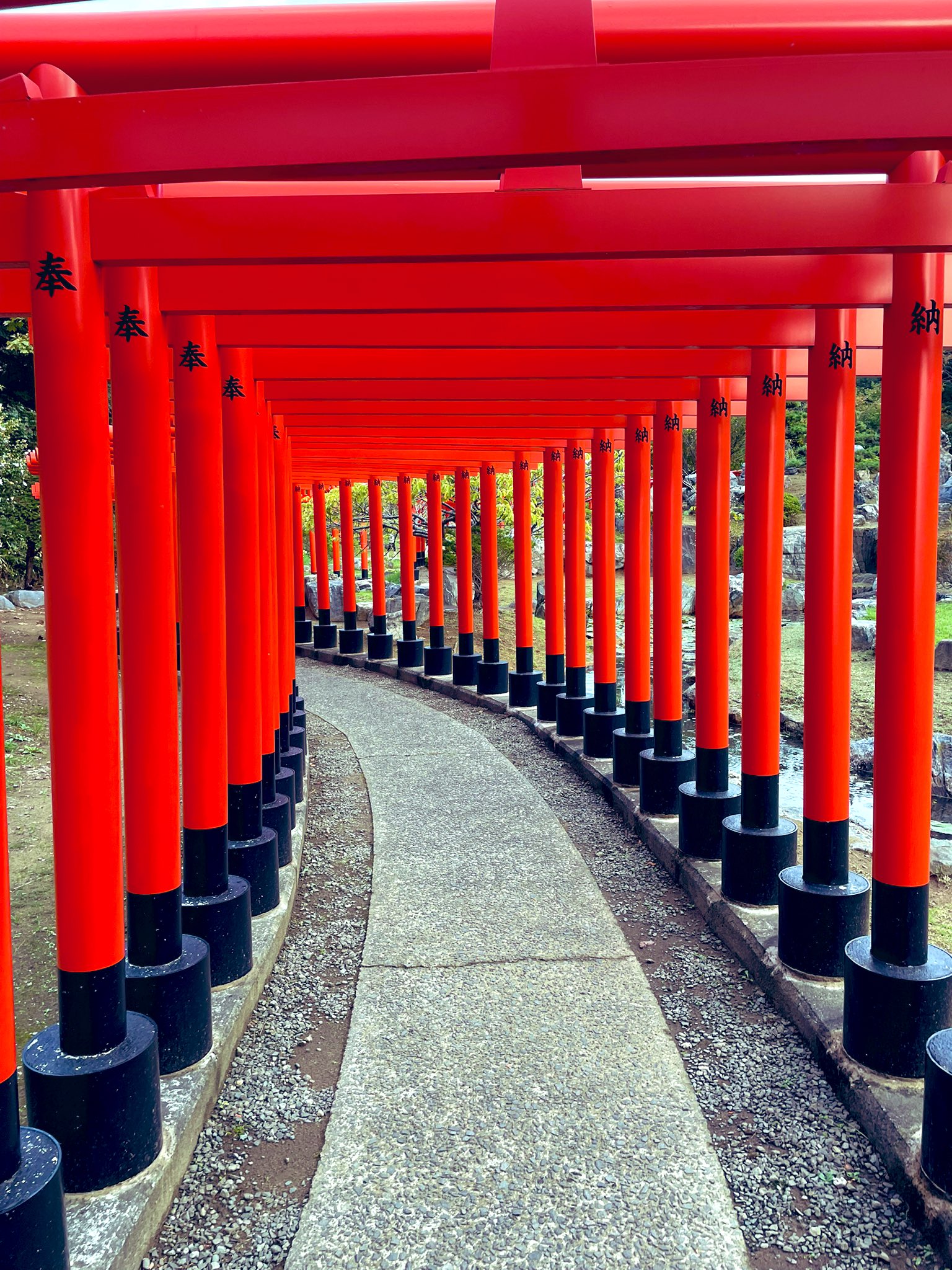 稲本様 サカつくDS ワールドチャレンジ2010 | スペシャルインタビュー