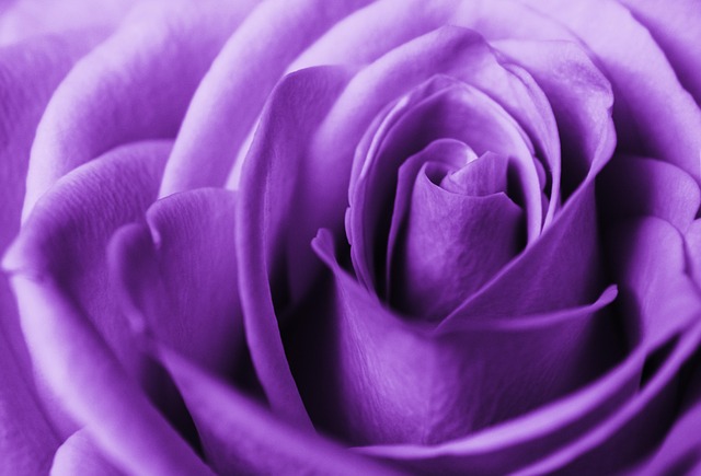 Bokep_Jav_WzcF's tweet image. #SmartSolutionsForGrowth
