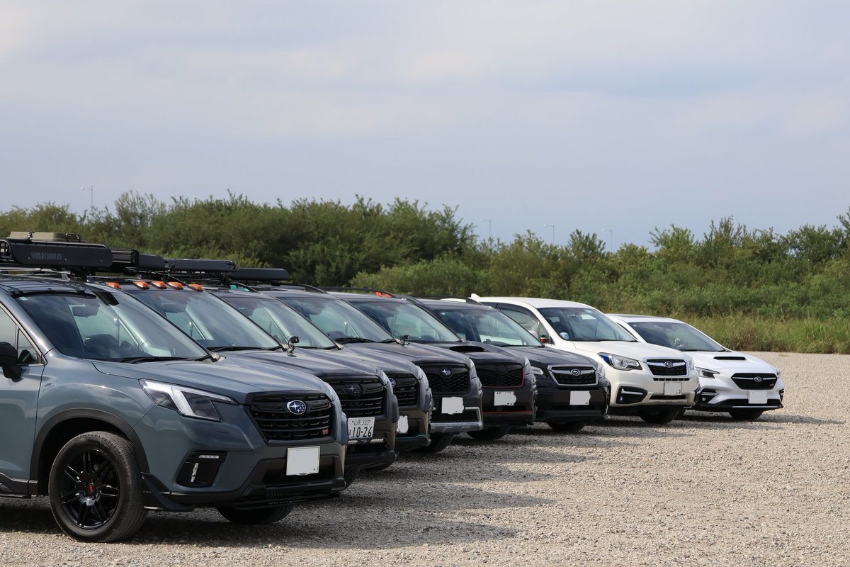 foreforeforesta's tweet image. フォォォォォォォレスタォーグ