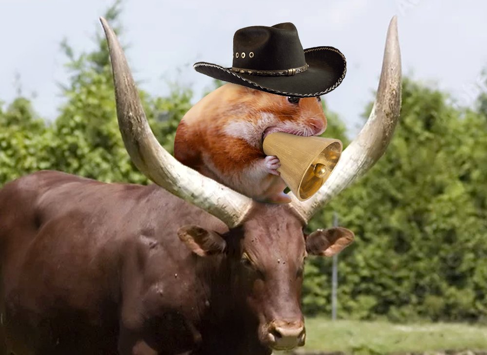 @Ashcryptoreal Lets gooo