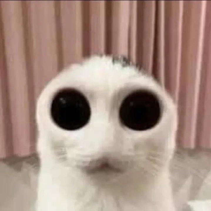 Axolotl_Prod's tweet image. i think i should finish fallen star axomix, i kinda forgor