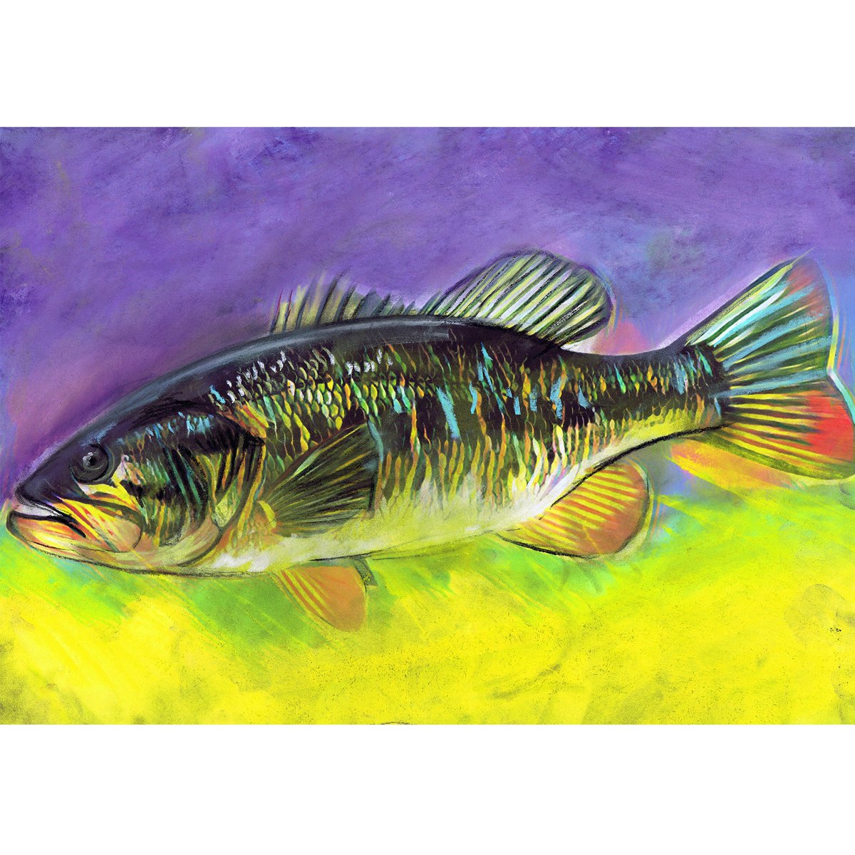 Largemouth Bass Art Print: Abstract Pastel Fishing Gift tuppu.net/c767aaf2 #Etsy #DogFishArtCo #Mancave