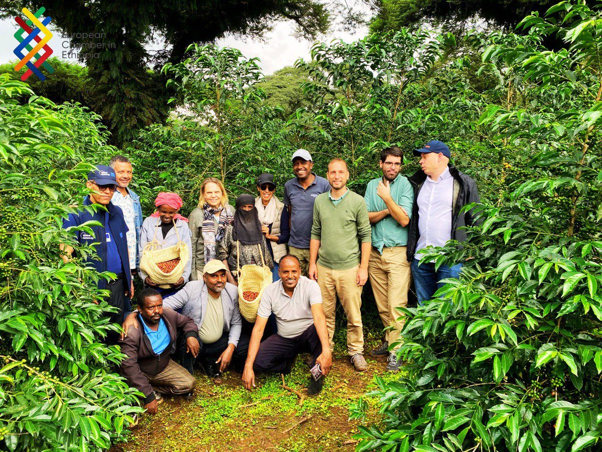 European Chamber in Ethiopia tweet media