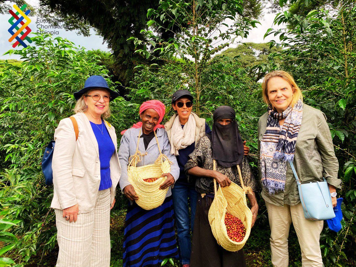 European Chamber in Ethiopia tweet media