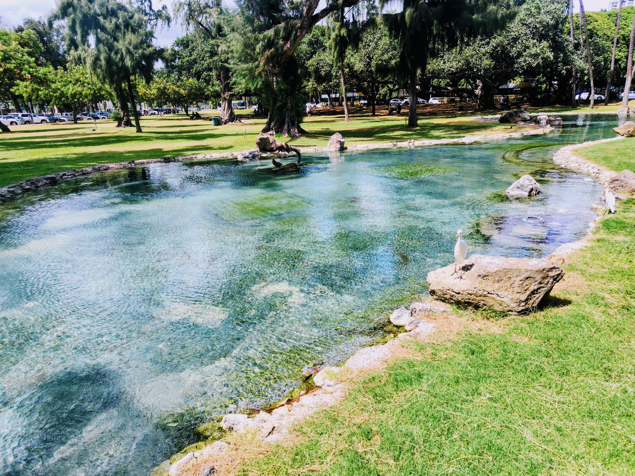 かごの中の太陽　ダブルレインボウ　1枚 hawaiibiyori274.jpg