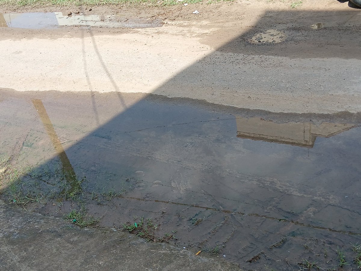 Aadept Architects tweet media