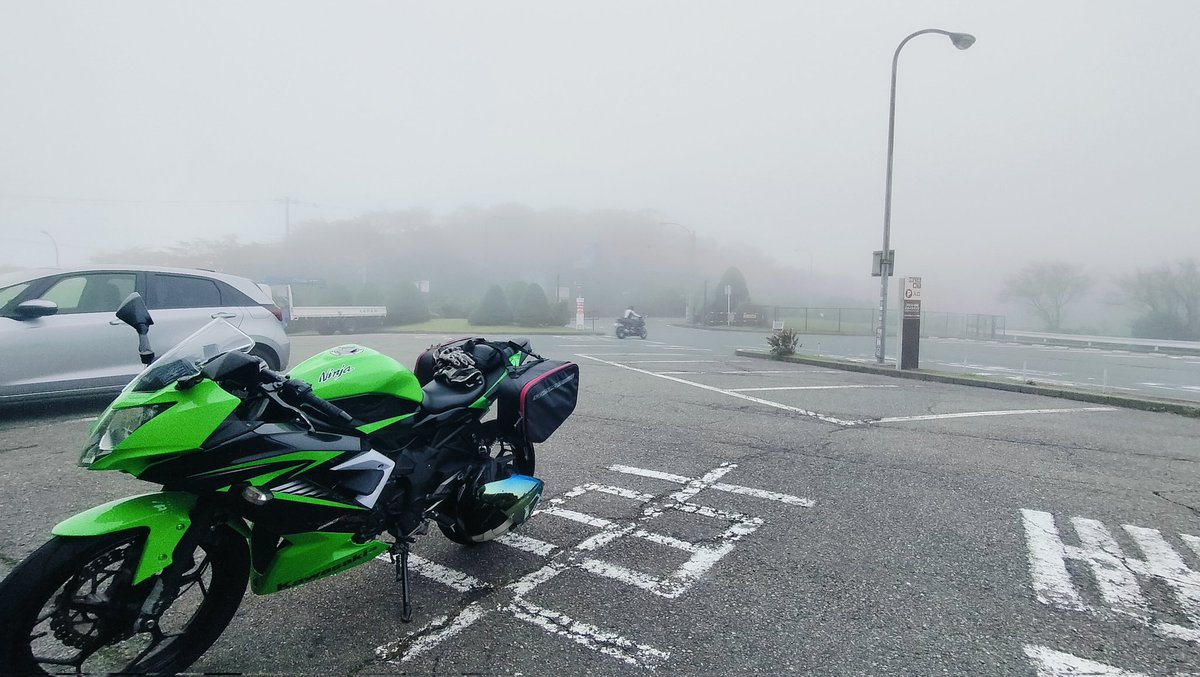 霧の箱根
霧の中走ってると北海道の霧の湿原を走ってるの思い出して
今年遠征してないから体が旅を求めてる