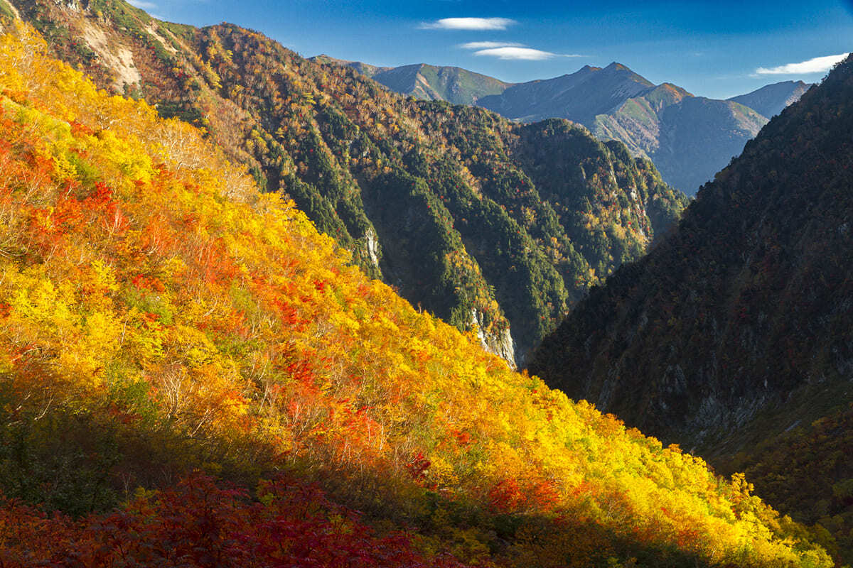 yokosonagano's tweet image. 【おすすめ記事】
長野県在住プロ・フォトグラファーが撮る長野県の紅葉
👉lnky.jp/WM6f7RH

フォトグラファーが見る秋🍁
ぜひ鑑賞してみてください📷✨

#県公式観光サイトGoNAGANO 
#長野県
#紅葉