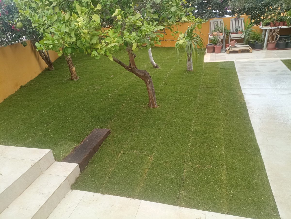 Novogreen tweet media