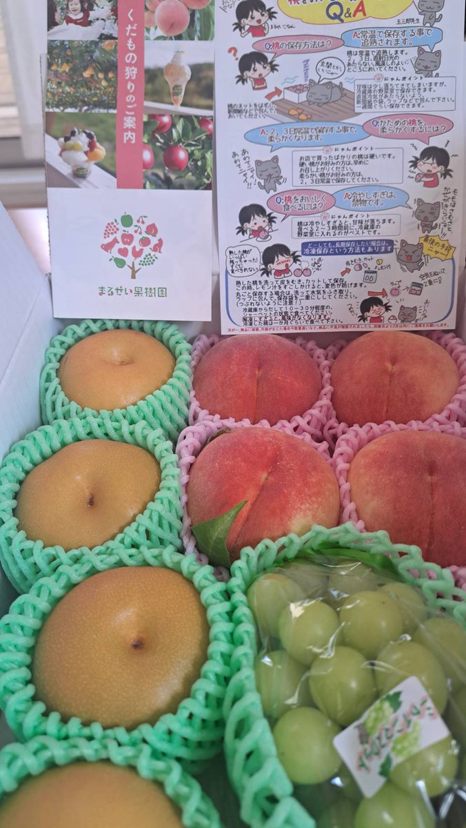 ❤️大幅にお値下げ❤️ 本日限りの出品 おたいち 三重本店 【GAME】 on X: 