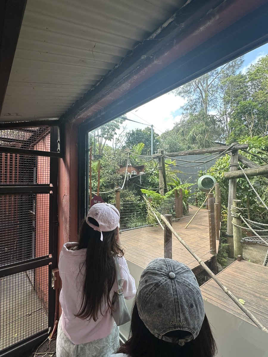 paradoxicable's tweet image. 陪妹妹们出去累点算什么🫠