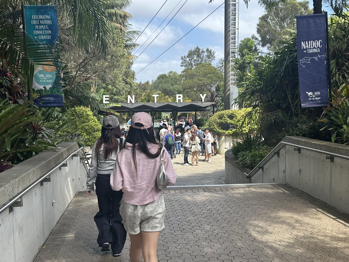 paradoxicable's tweet image. 陪妹妹们出去累点算什么🫠