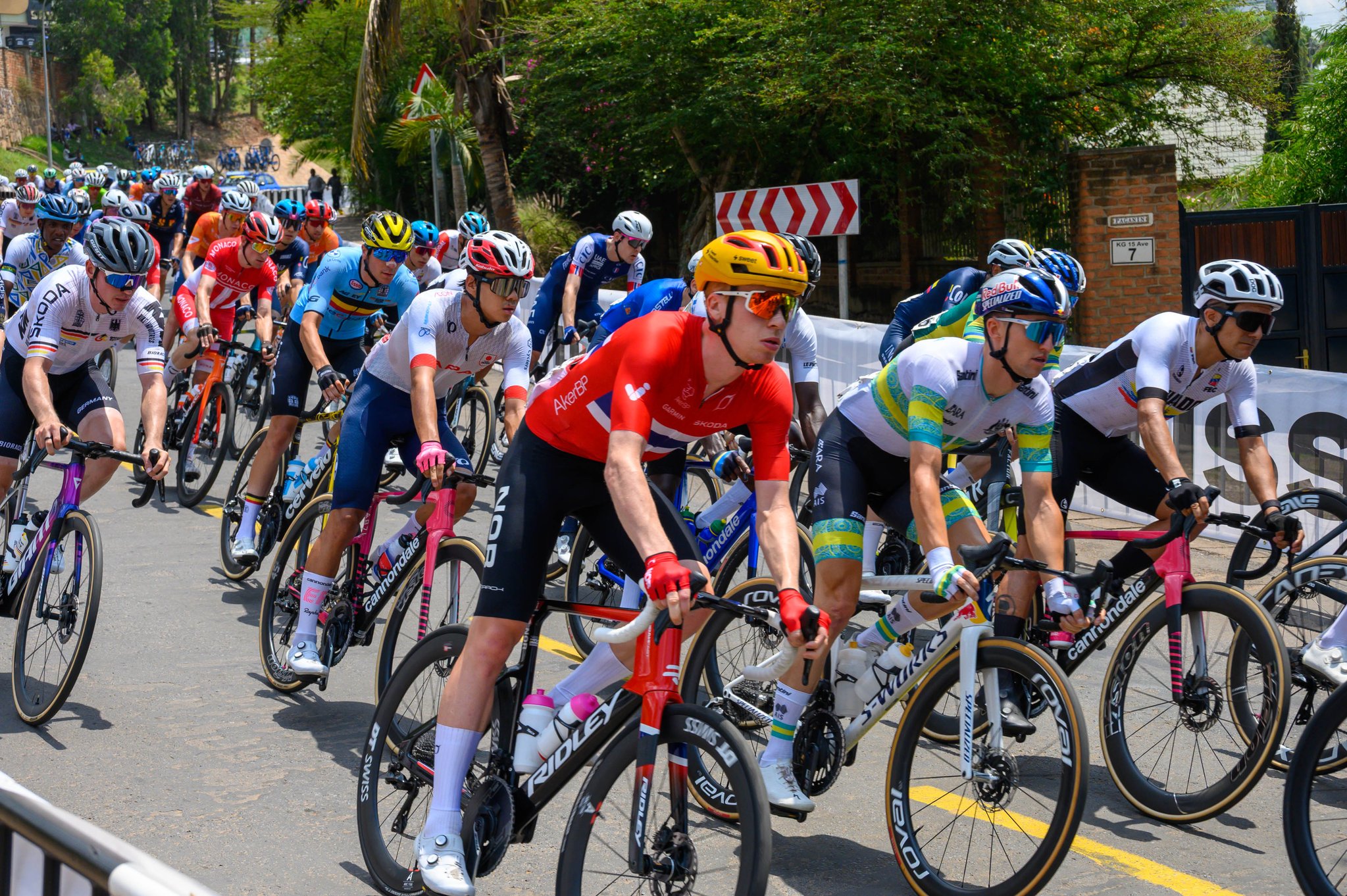 ティム・ケルン 写真集「The Peloton」自転車ロードレース ティム・ケルン 写真集「The Peloton」自転車ロードレース